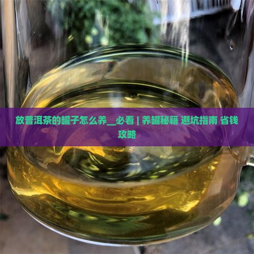 放普洱茶的罐子怎么养