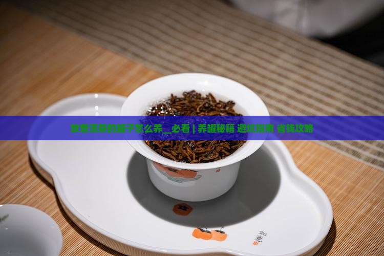 放普洱茶的罐子怎么养