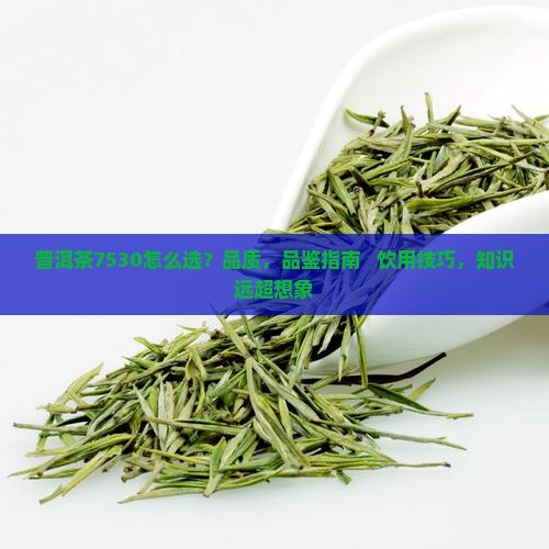 普洱茶7530