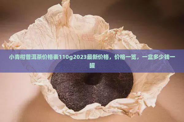 小青柑普洱茶价格表110g