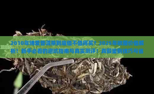 2010年博爱普洱茶