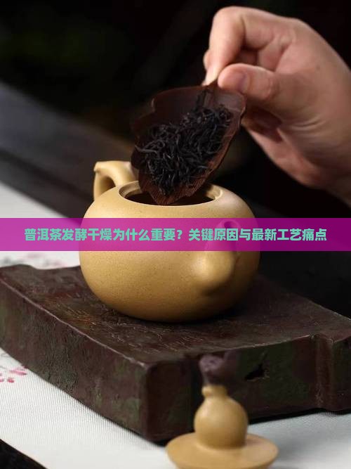 普洱茶发酵干燥的原因分析 普洱茶发酵干燥的原因分析