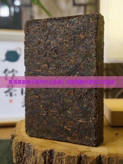 普洱茶发酵干燥的原因分析 普洱茶发酵干燥的原因分析