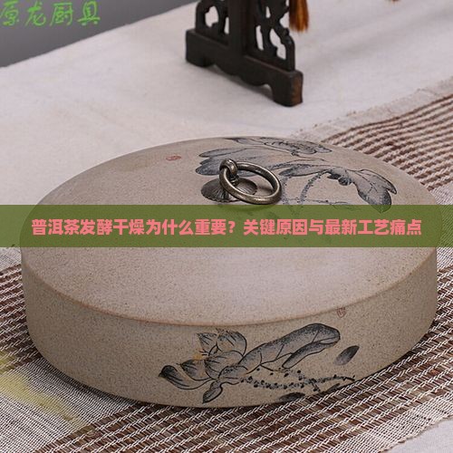 普洱茶发酵干燥的原因分析 普洱茶发酵干燥的原因分析
