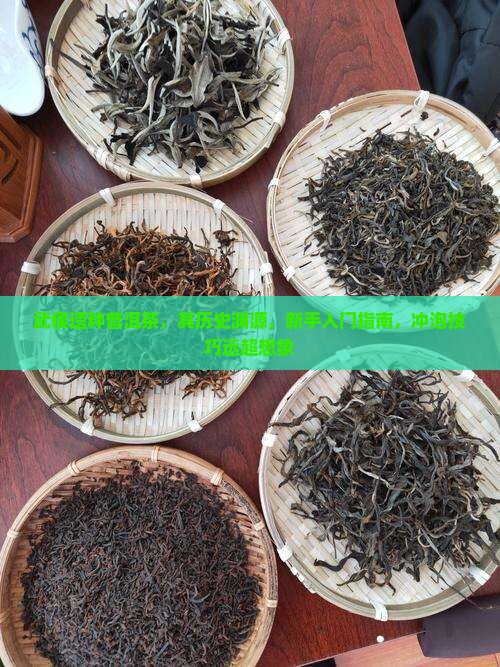 武侯遗种普洱茶