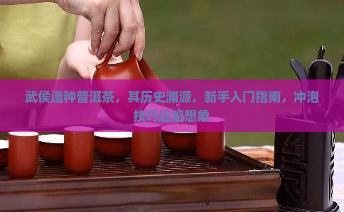 武侯遗种普洱茶