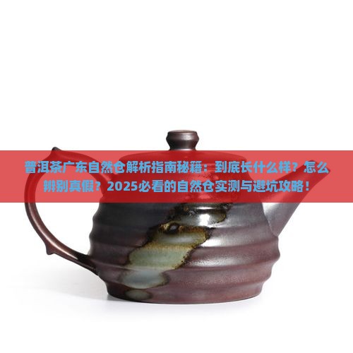 普洱茶广东自然仓长什么样