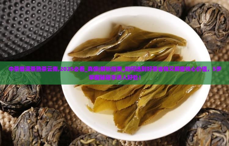 中茶普洱茶熟茶云南