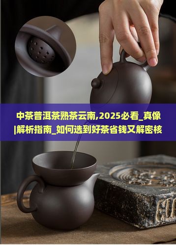 中茶普洱茶熟茶云南