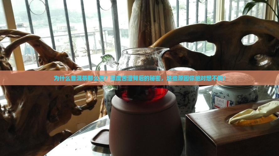 为什么普洱茶那么苦