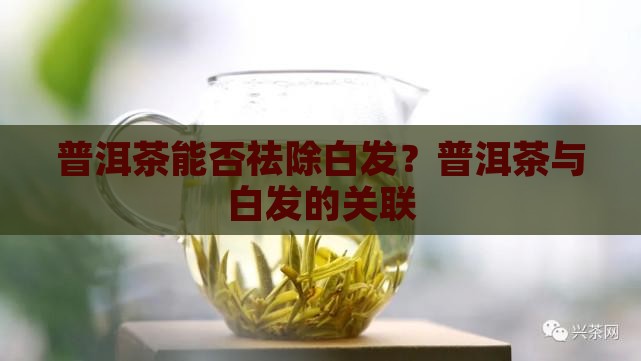 普洱茶可以祛除白发吗