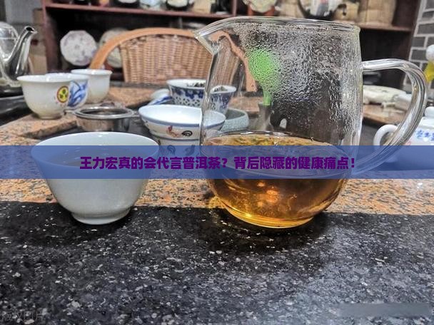 王力宏普洱茶节