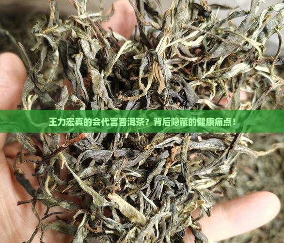 王力宏普洱茶节