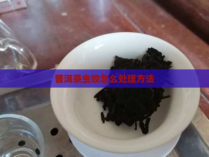 普洱茶虫咬怎么处理