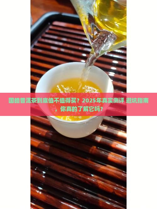 国皓普洱茶到底好不好