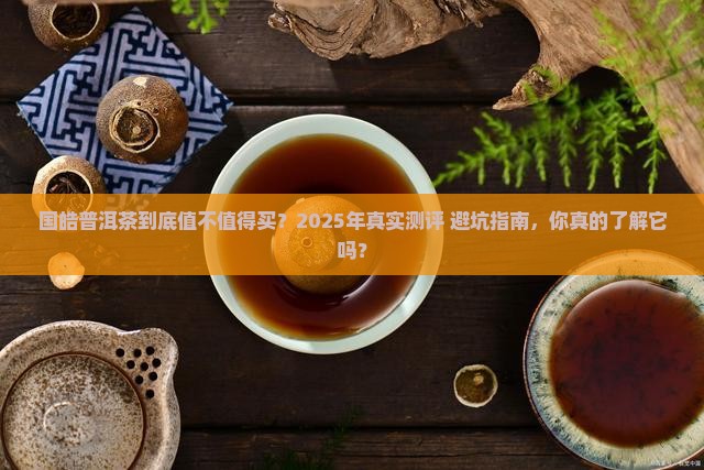 国皓普洱茶到底好不好