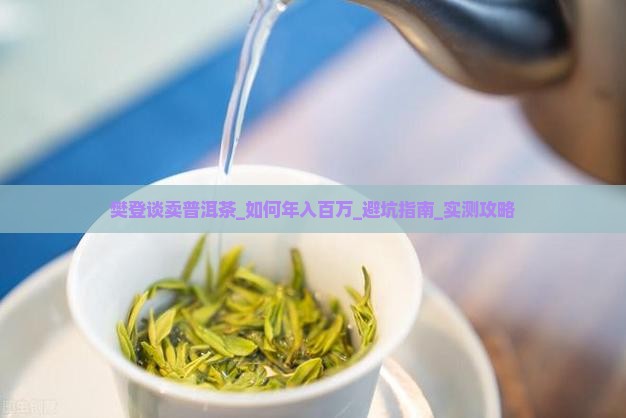 樊登谈卖普洱茶