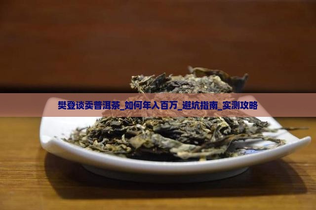 樊登谈卖普洱茶