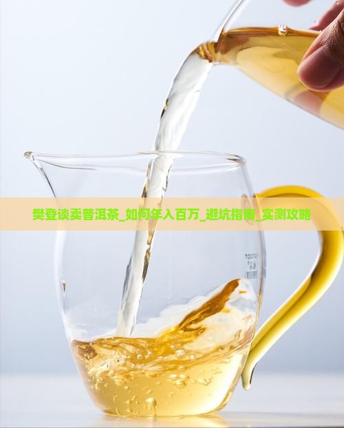 樊登谈卖普洱茶