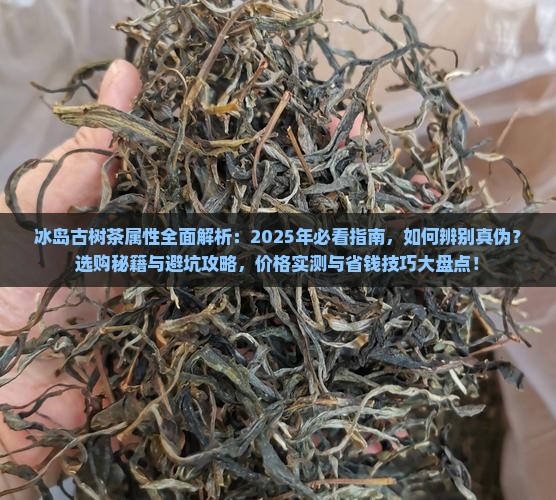 冰岛古树茶的属性