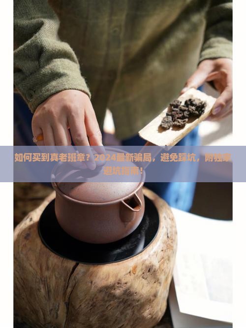 如何买到真老班章