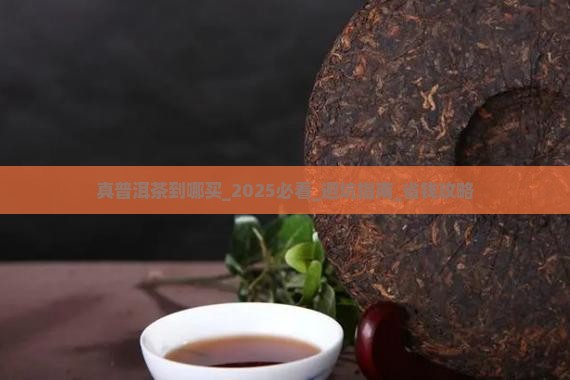 真普洱茶到哪买 真普洱茶到哪买