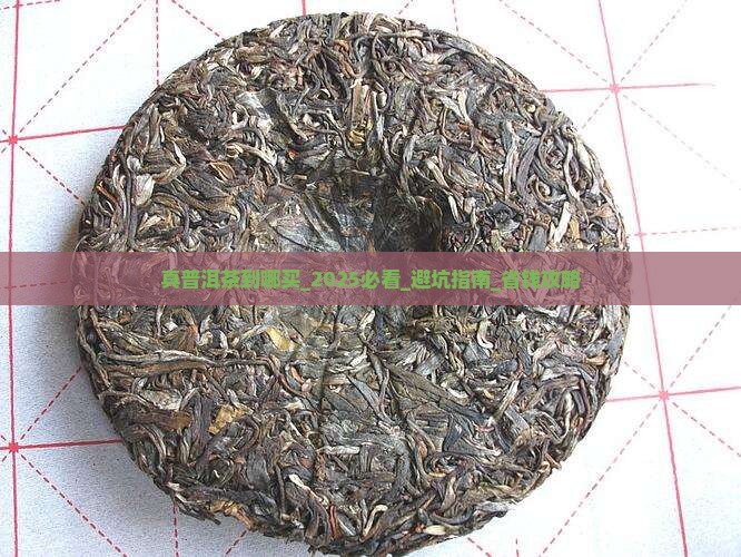 真普洱茶到哪买 真普洱茶到哪买