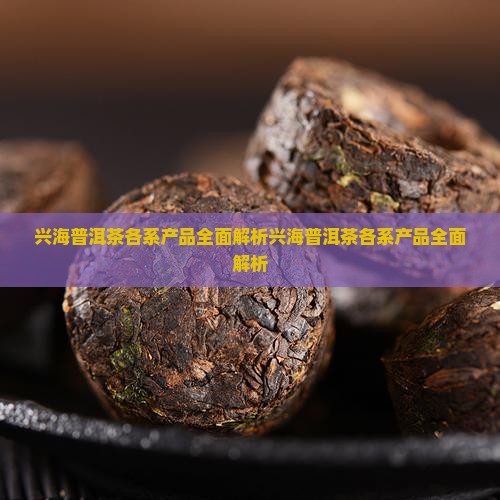 兴海普洱茶各系产品