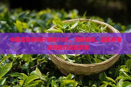 中国名茶叶排行榜前10名