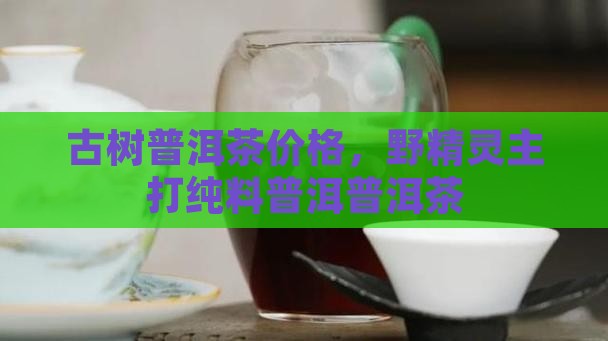 野精灵主打纯料古树普洱茶