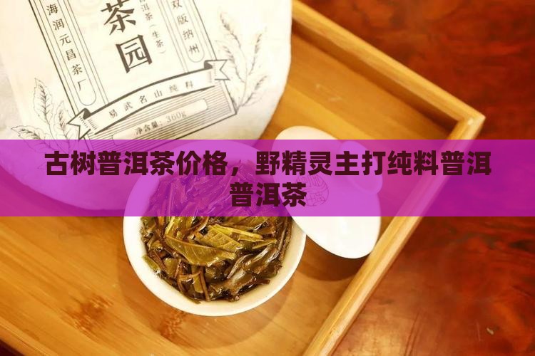 野精灵主打纯料古树普洱茶