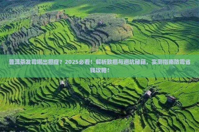 普洱茶发霉喝出癌症