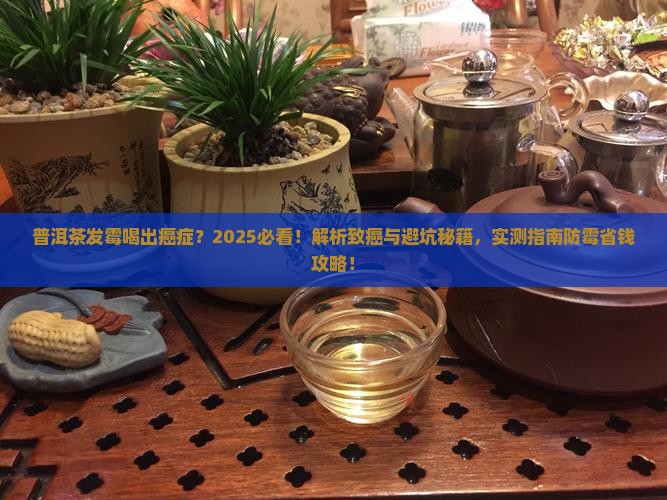 普洱茶发霉喝出癌症