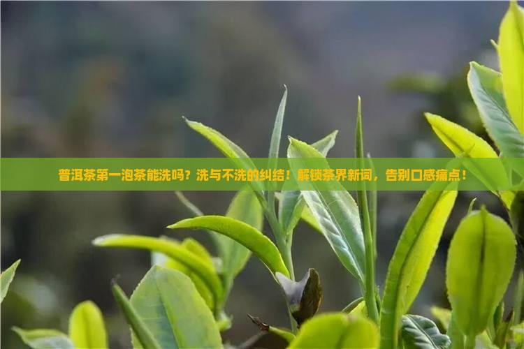 普洱茶第一泡茶能洗吗