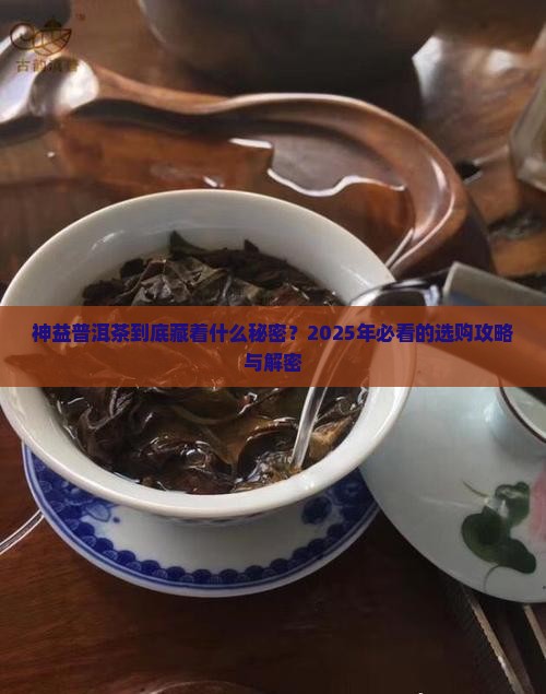 神益普洱茶官网