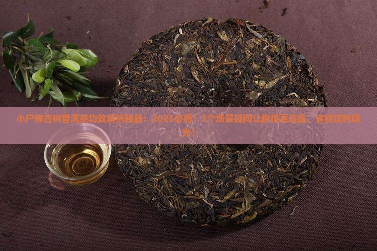 小户赛古树普洱茶功效