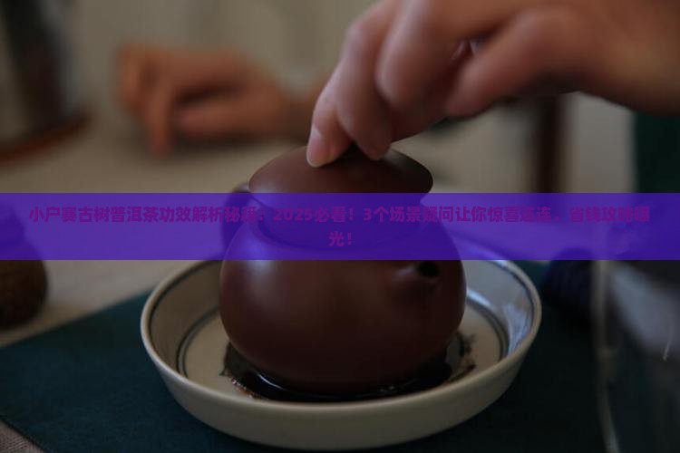 小户赛古树普洱茶功效