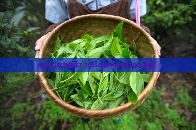 茶叶的口味一直不稳定