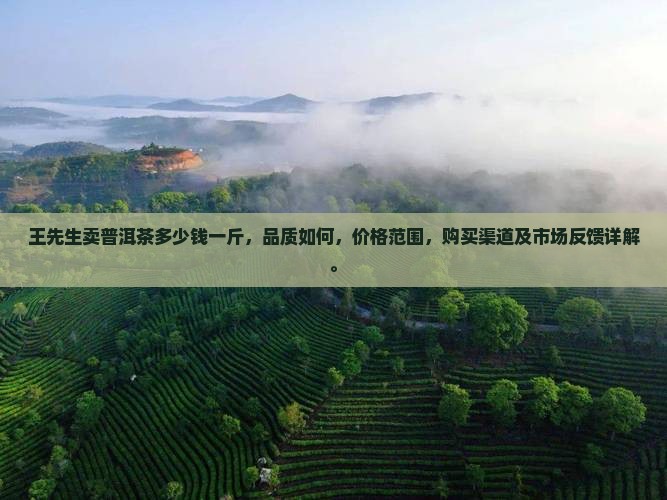 王先生卖普洱茶多少钱一斤 王先生卖普洱茶多少钱一斤