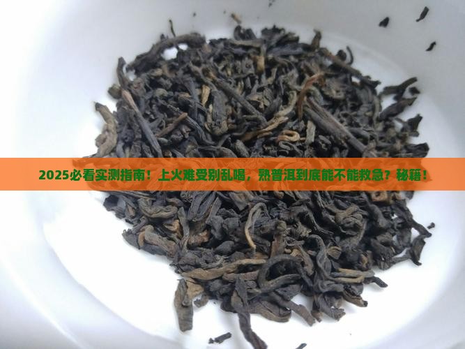 上火可以喝熟普洱吗