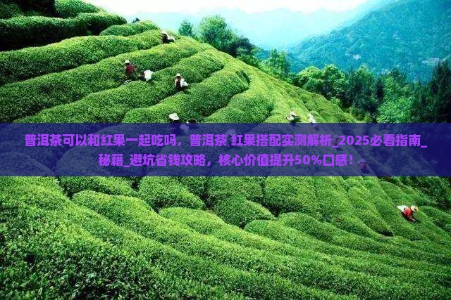 普洱茶可以和红果一起吃吗