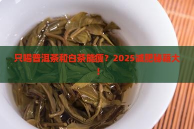 只喝普洱茶和白茶能减肥吗