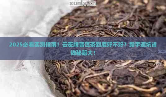 云宏牌普洱茶怎么样