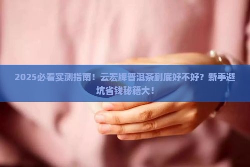 云宏牌普洱茶怎么样