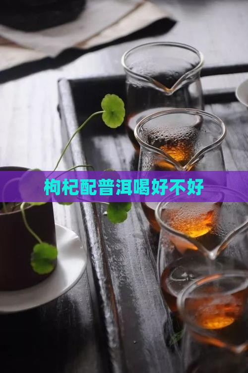 枸杞配普洱喝好不好