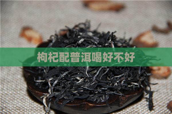 枸杞配普洱喝好不好
