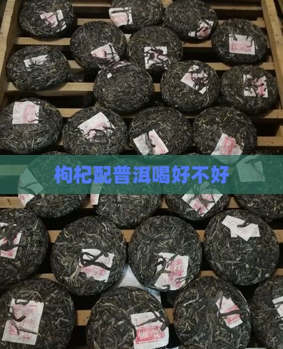 枸杞配普洱喝好不好