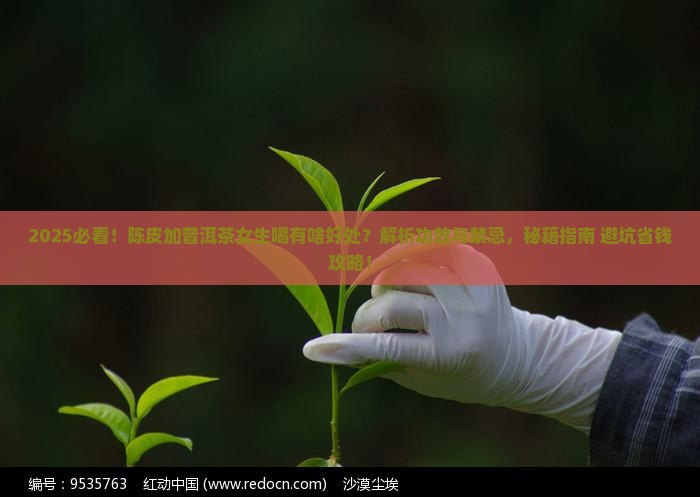 陈皮加普洱茶可以喝吗女生