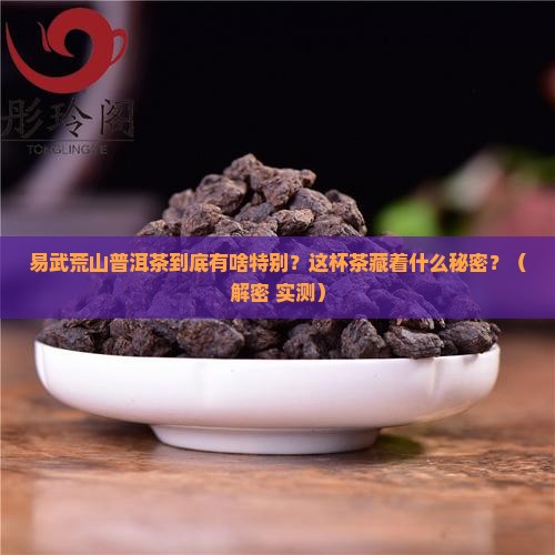 易武荒山普洱茶特点