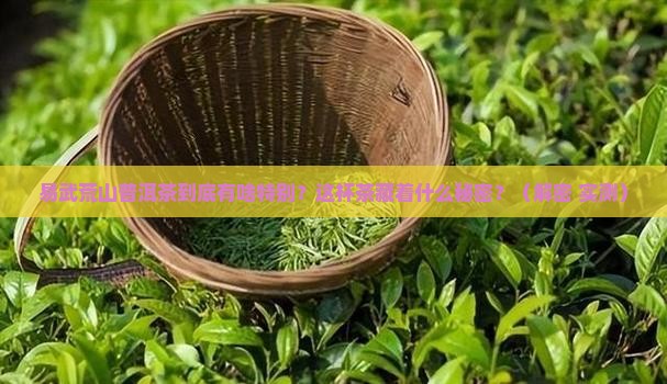 易武荒山普洱茶特点